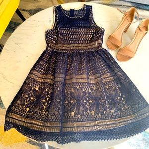Francesca’s Navy Lace Dress